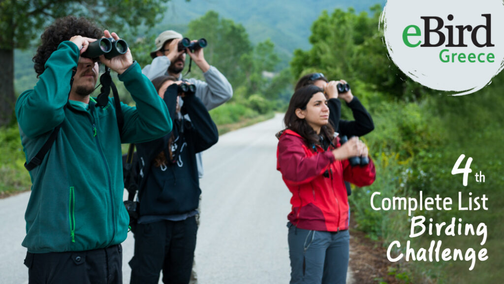7 & 8 February: 4th Complete List Birding Challenge of eBird Greece ...