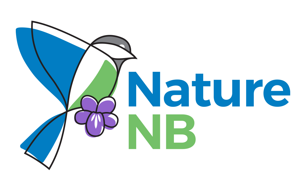 York New Brunswick Canada eBird - NatureNB Logo 2 