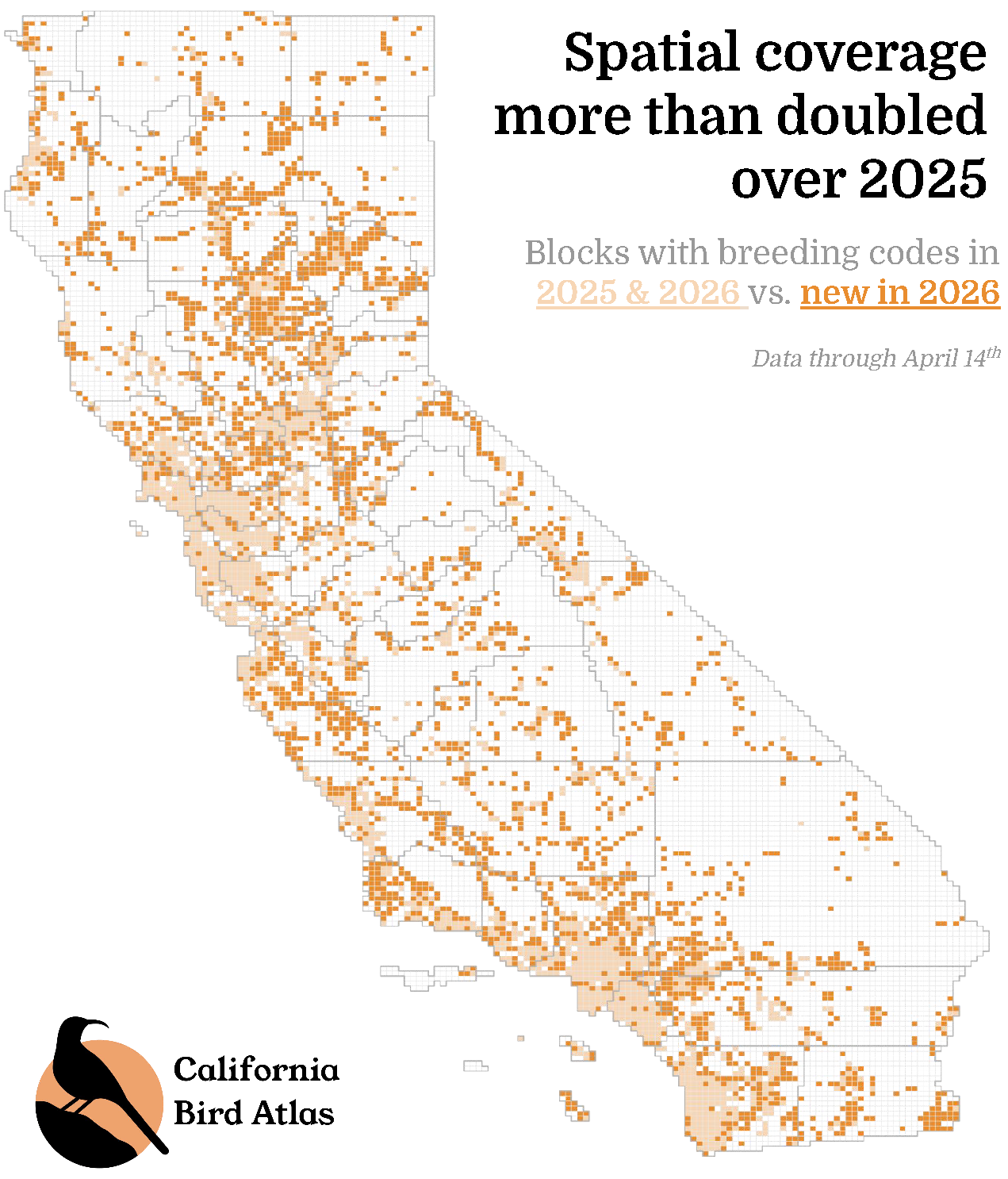 Atlas Dispatch: April 2026 Rewind - California Bird Atlas