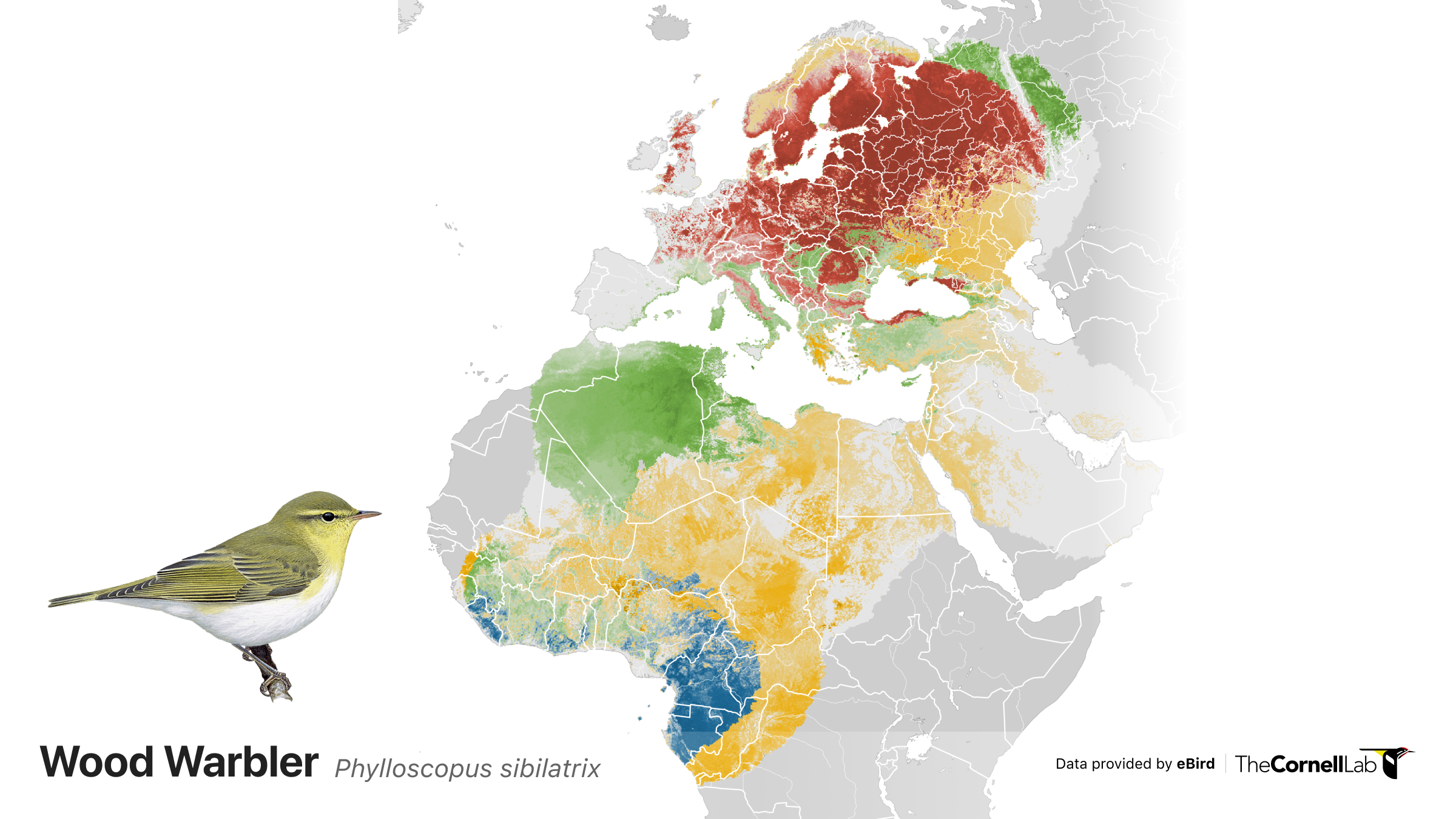 Updated abundance and range maps for 2,068 species - Wisconsin eBird