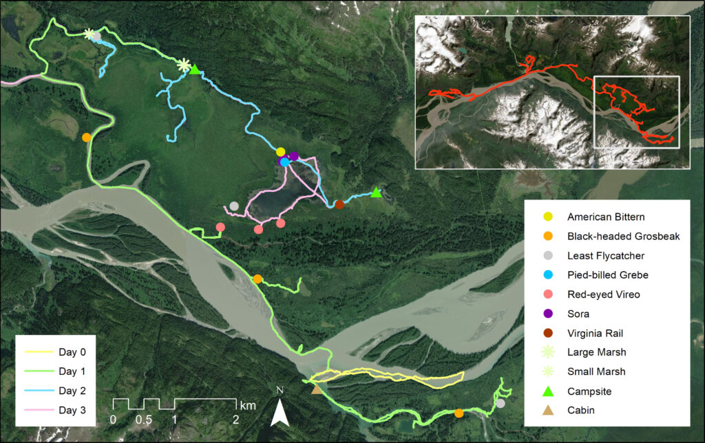 Map of tracks during the first three days of birding along the Stikine River