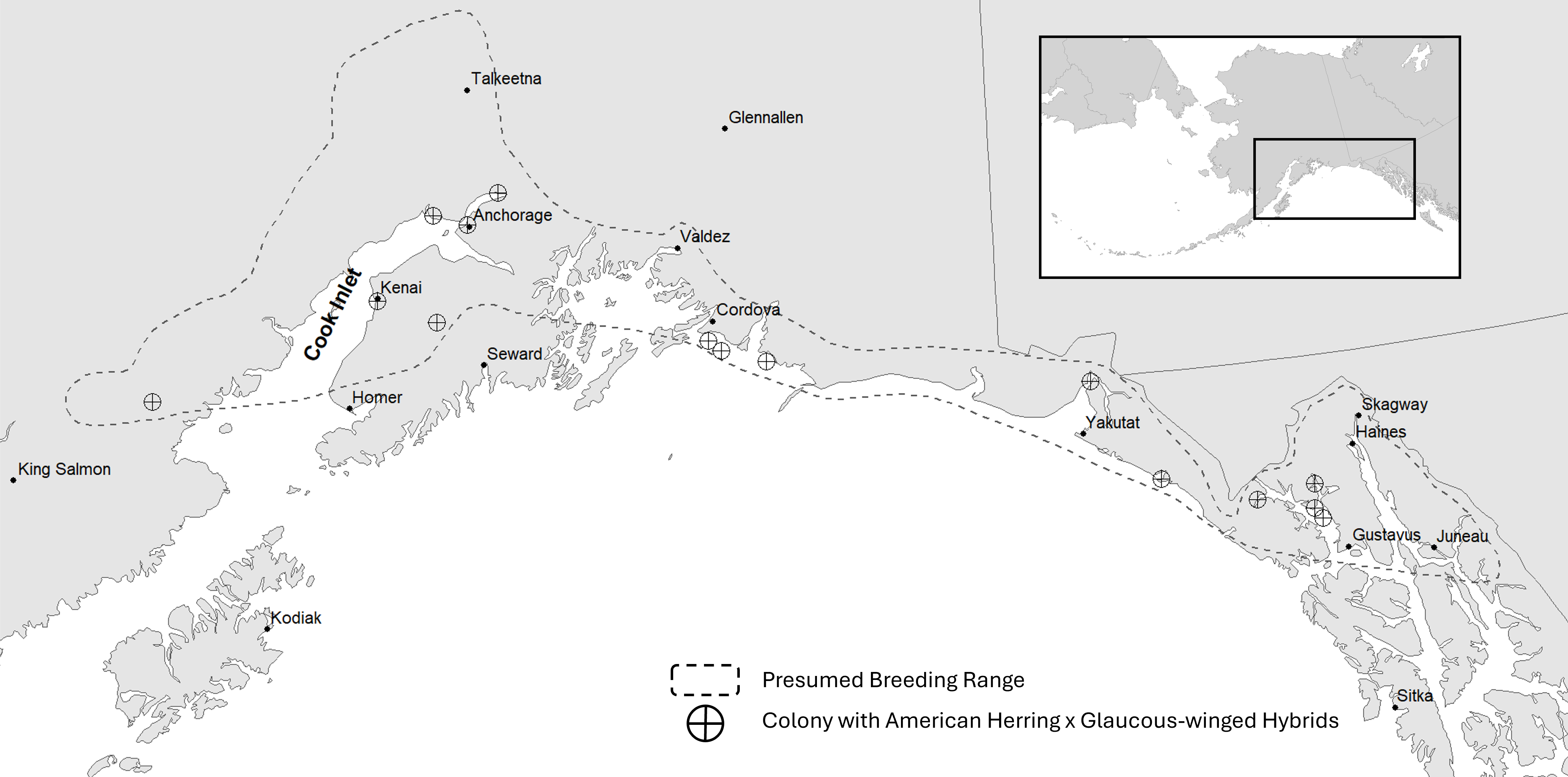 Map of the presumed breeding range of Cook Inlet Gulls and known colonies with hybrids. Range includes Iliamna Lake north to Talkeetna and southeast to Juneau.