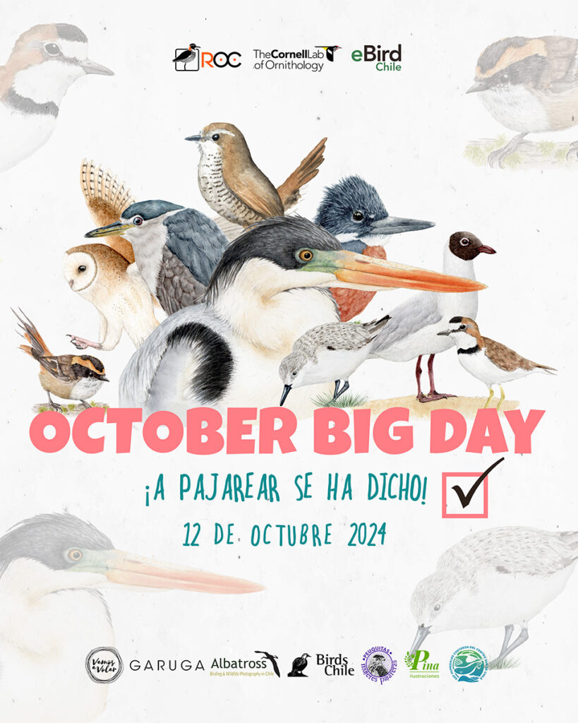 Afiche del October Big Day en Chile.