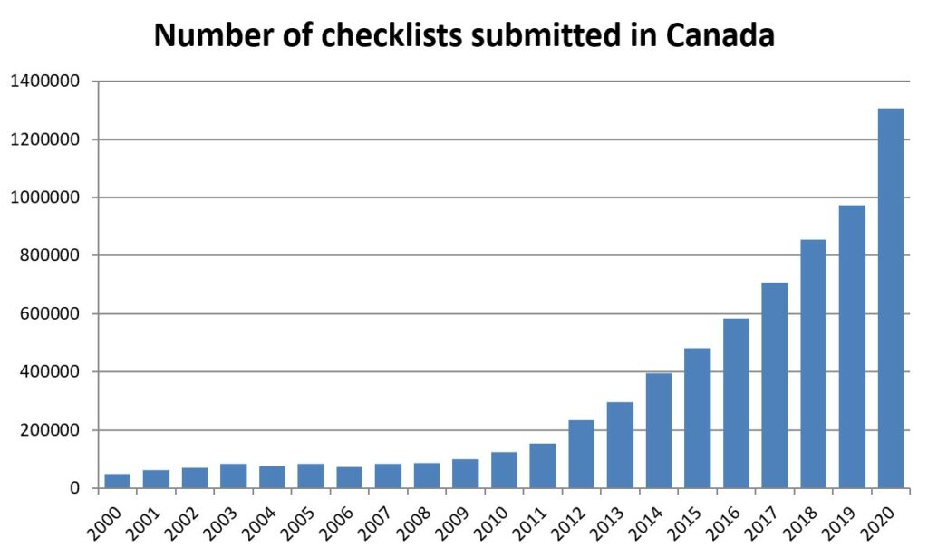 eBird Canada 2020 Year in Review eBird Canada
