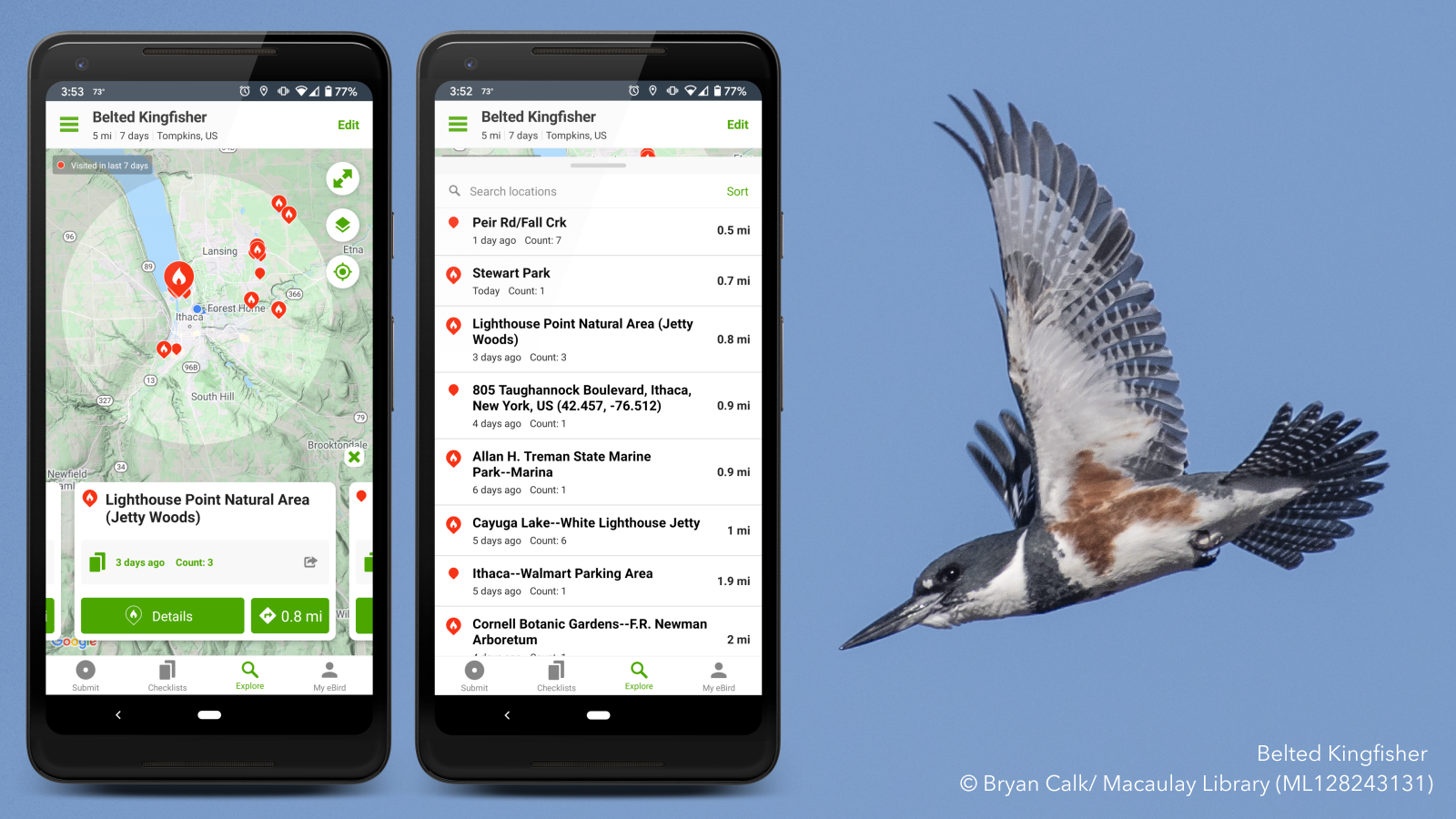 Дикая сколько по времени. Приложение EBIRD. EBIRD. E Bird. Проект сосредоточенный исключительно на птицах - EBIRD..