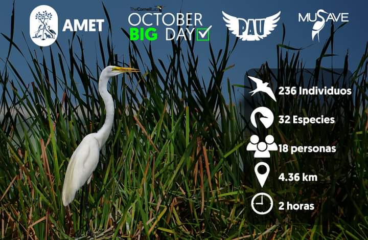 October Big Day 2021: a world united by birds - eBird