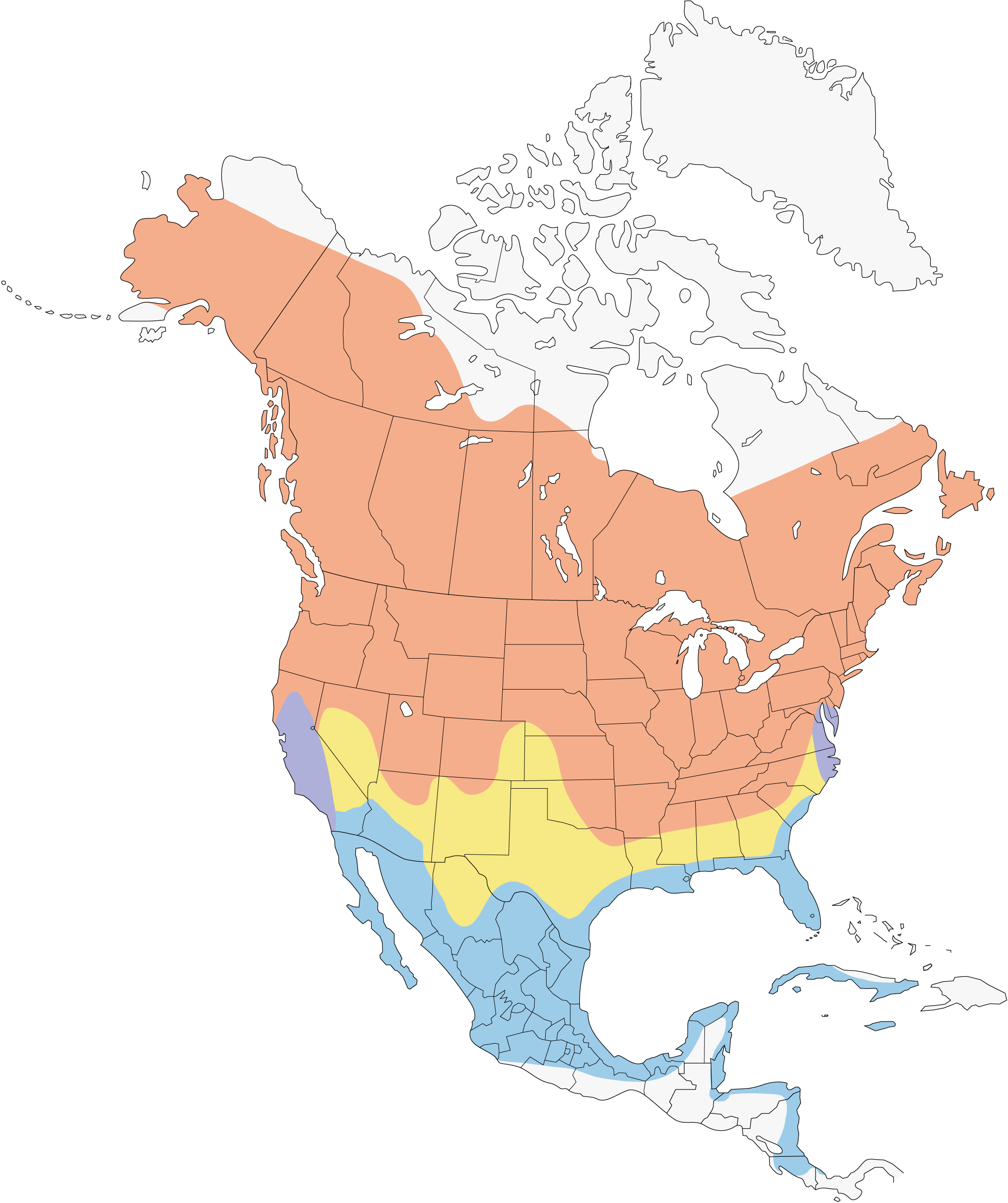 Map of North America depicting the distribution during the breeding (pink), nonbreeding (blue), year-round (purple), and pre- and post-breeding movements (yellow). 