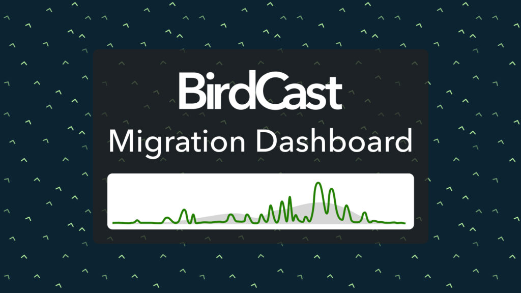 New BirdCast Migration Dashboard reveals nightly migration in near real