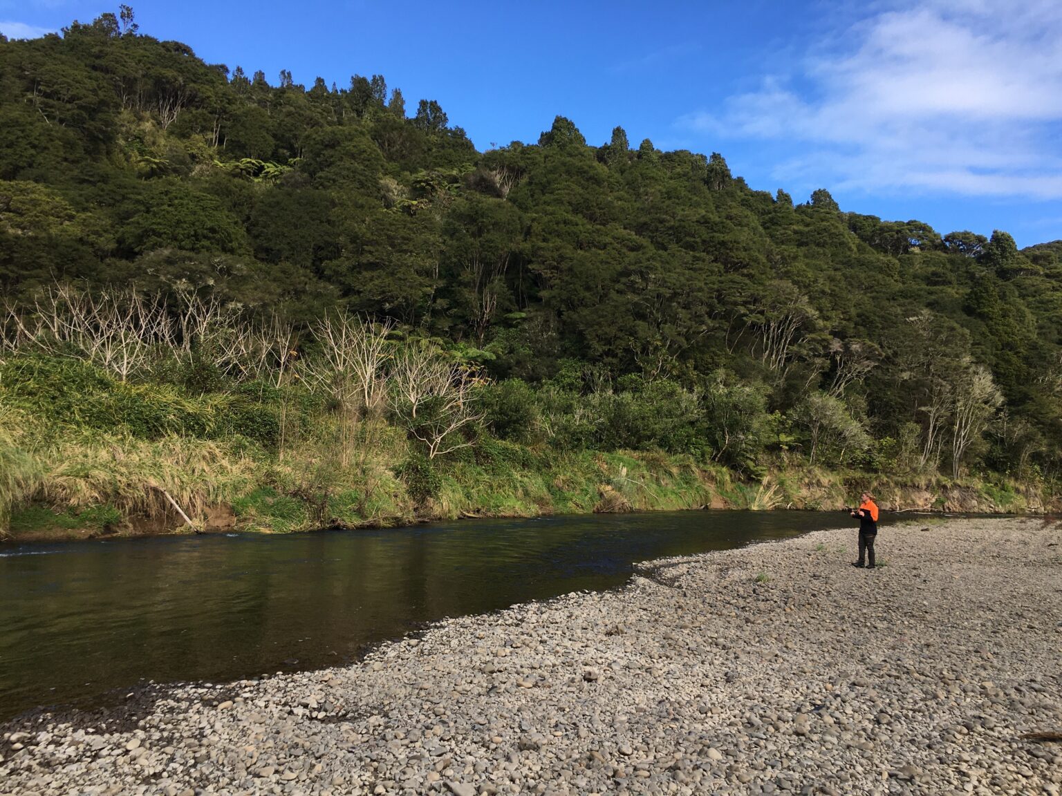 Portal Spotlight New Zealand Bird Atlas eBird
