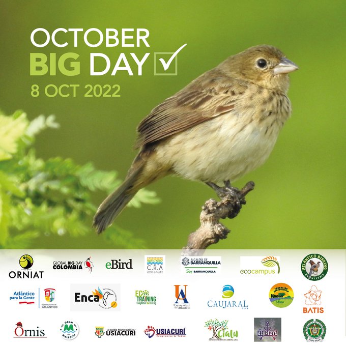 October Big Day 2022 A global birding achievement eBird