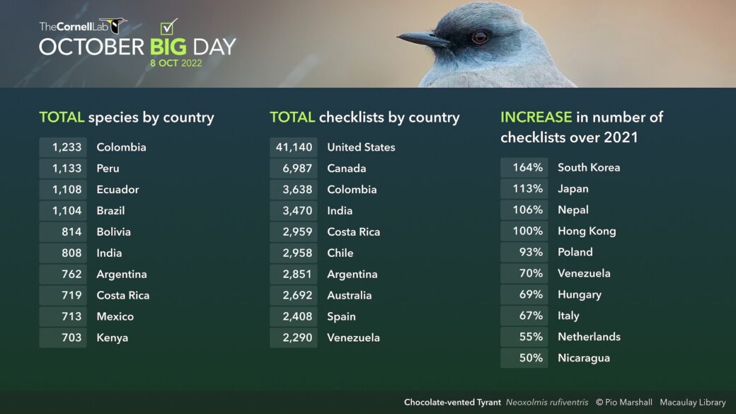 October Big Day 2022 A Global Birding Achievement Ebird