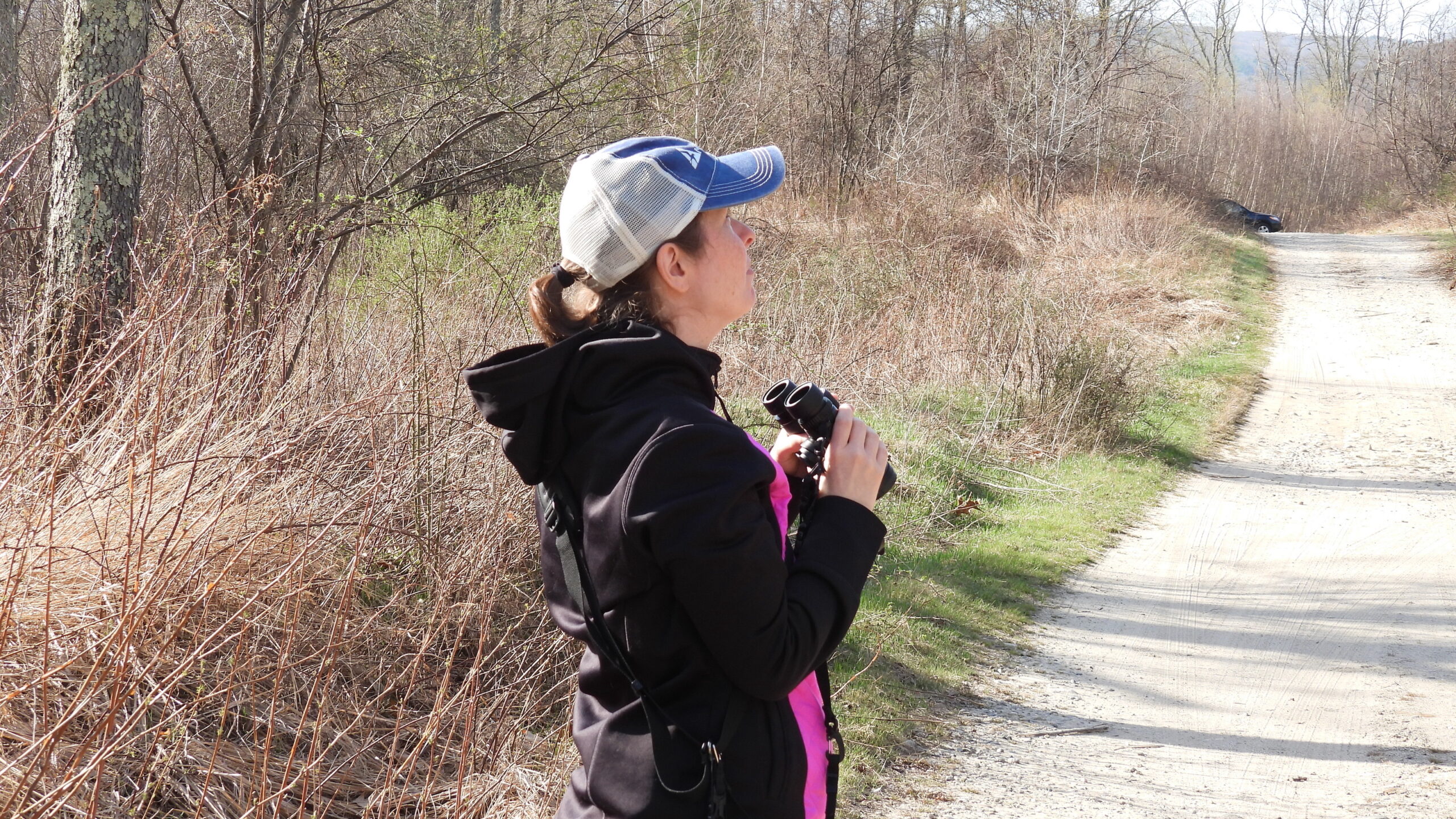 Michele McDermott March eBirder of the Month eBird