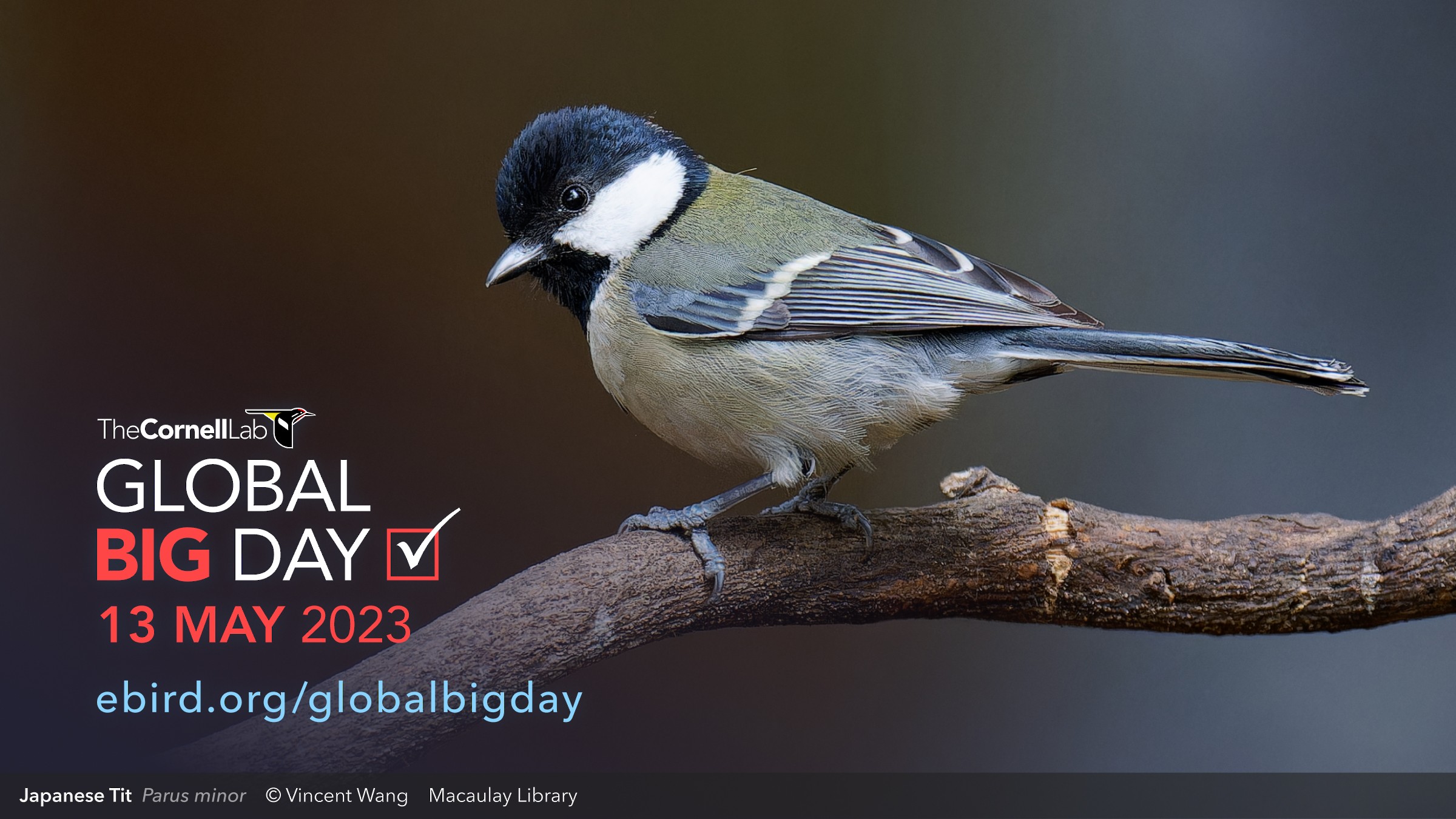 Global Big Day—13 May 2023 eBird