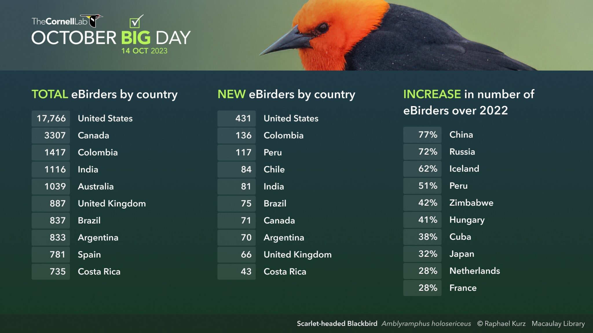 An Uplifting October Big Day 2023 eBird