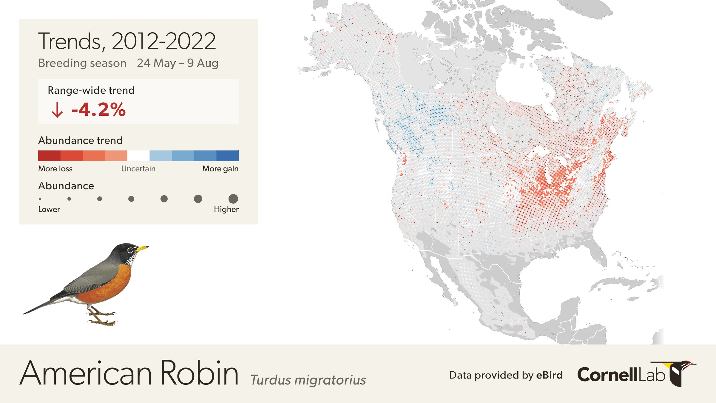 Trend map of American Robin with blue dots indicating increases and red dots indicating decreases.