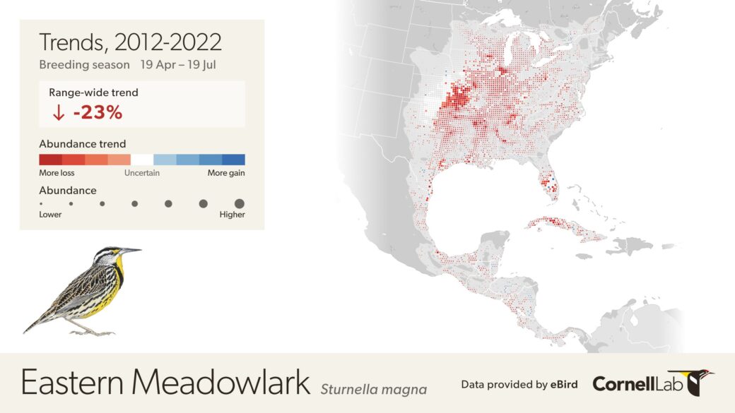 Trends maps - eBird Science