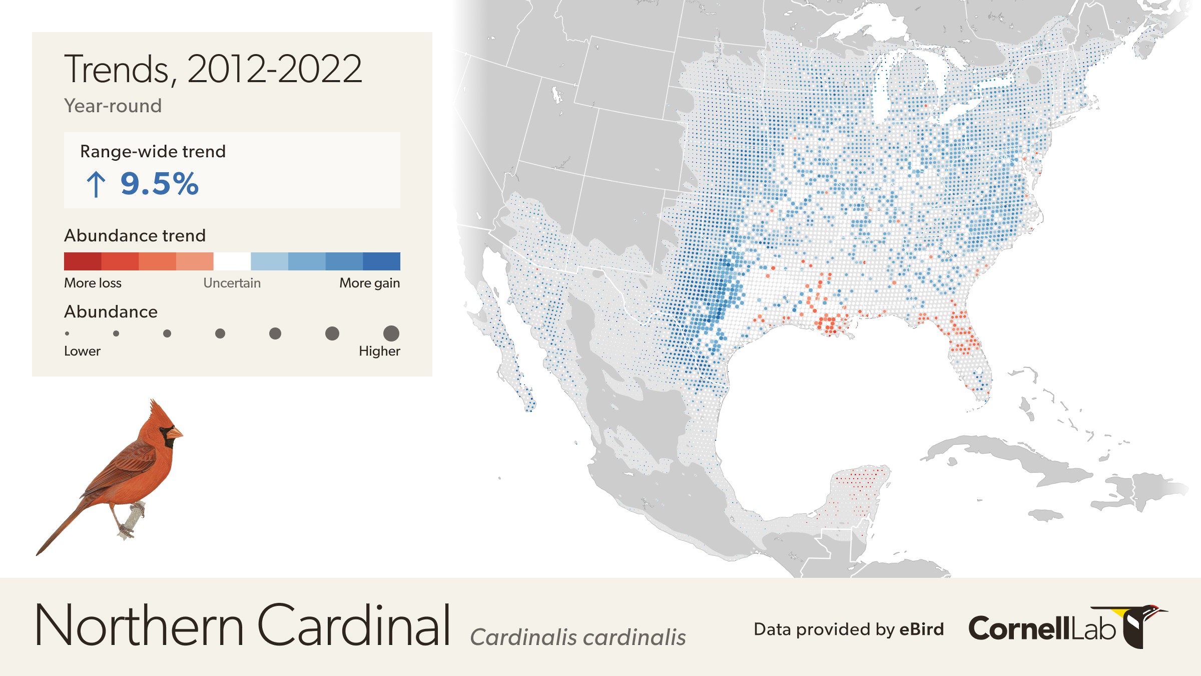 Trends map of the Northern Cardinal with many blue dots at the edges of the range indicating increases.