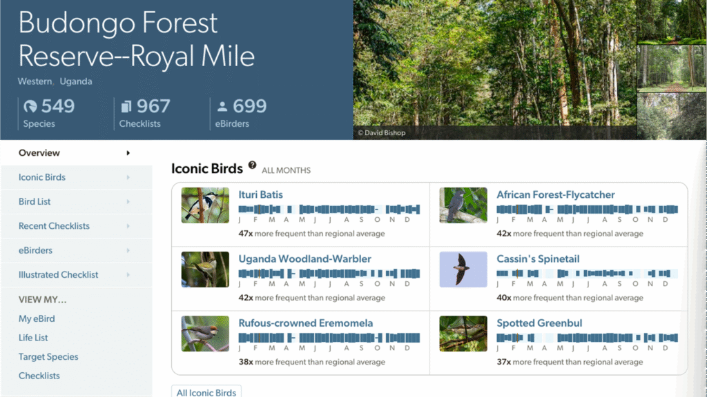 eBird - Discover a new world of birding...