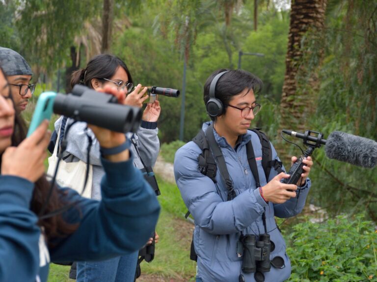 Participate in the Bird Sounds Recording Challenge in Latin America and