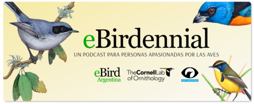eBirdennial: un podcast para personas apasionadas por las aves