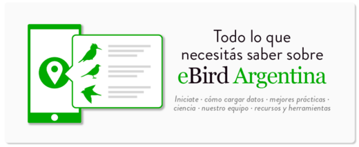 Todo lo que necesitas saber de eBird Argentina: Iniciate - cómo cargar datos - mejores prácticas al subir datos - ciencia - nuestro equipo - recursos y herramientas