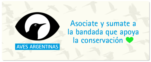 Asociate a Aves Argentinas y sumate a la bandada que apoya la conservación