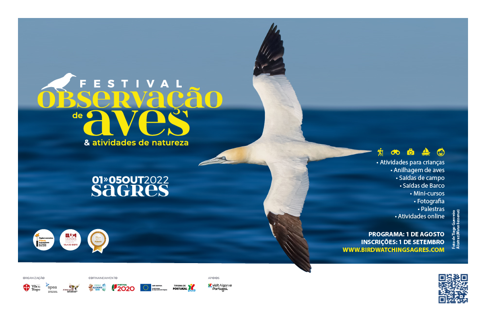 cartaz do 13º Festival de Observação de Aves & Atividades de Natureza
