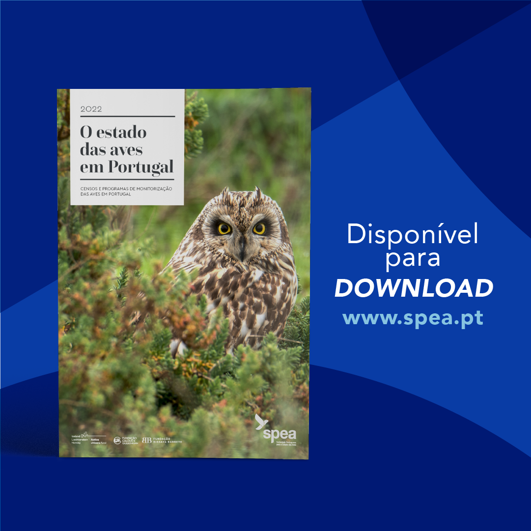 cap do relatório Estado das Aves em Portugal