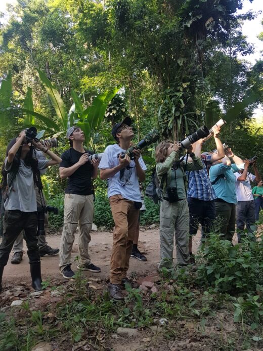 October Big Day 2024 Dados Finais Ebird Brazil