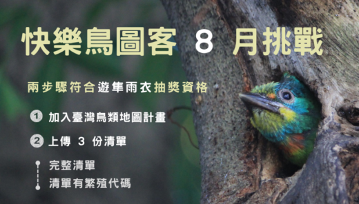 2025快樂鳥圖客8月挑戰 - eBird Taiwan