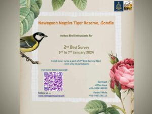 Nawegaon Nagzira second bird survey