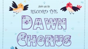Poster on Dawn Chorus Day by Birdwatchers Society of west bengal