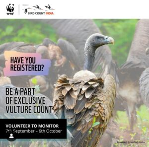 WWF India Vulture Count 2024