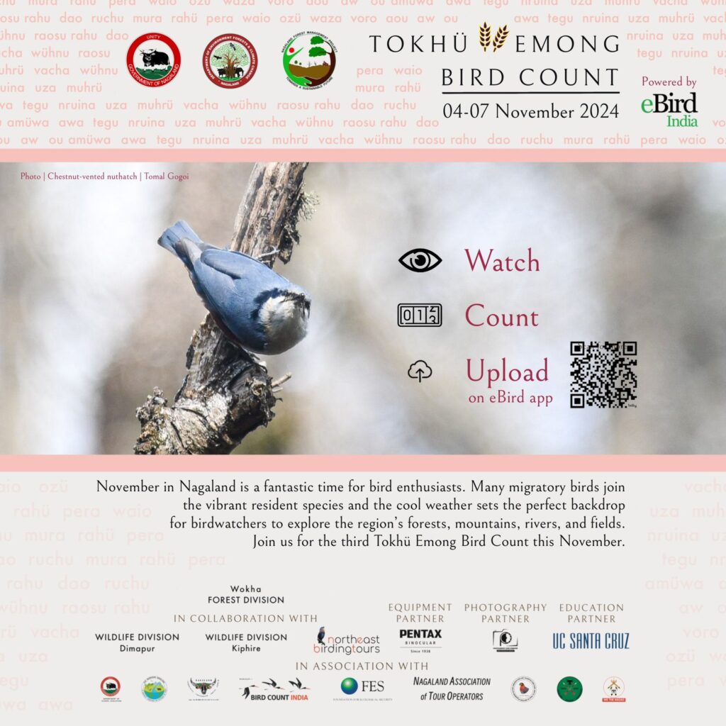 Poster on Tokhu Emong Bird Count 2024- a bird count specific to state of Nagaland