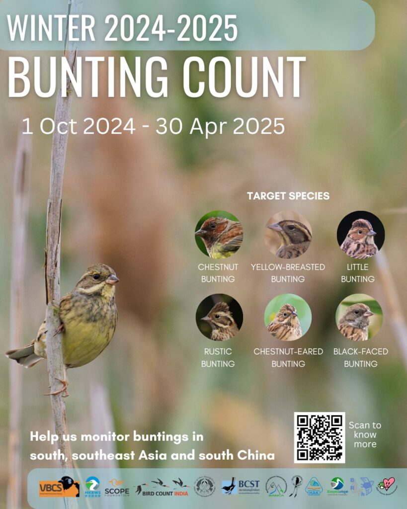 Poster advertising Winter Bunting Counts- a collaborative bird count between 10 Asian countries