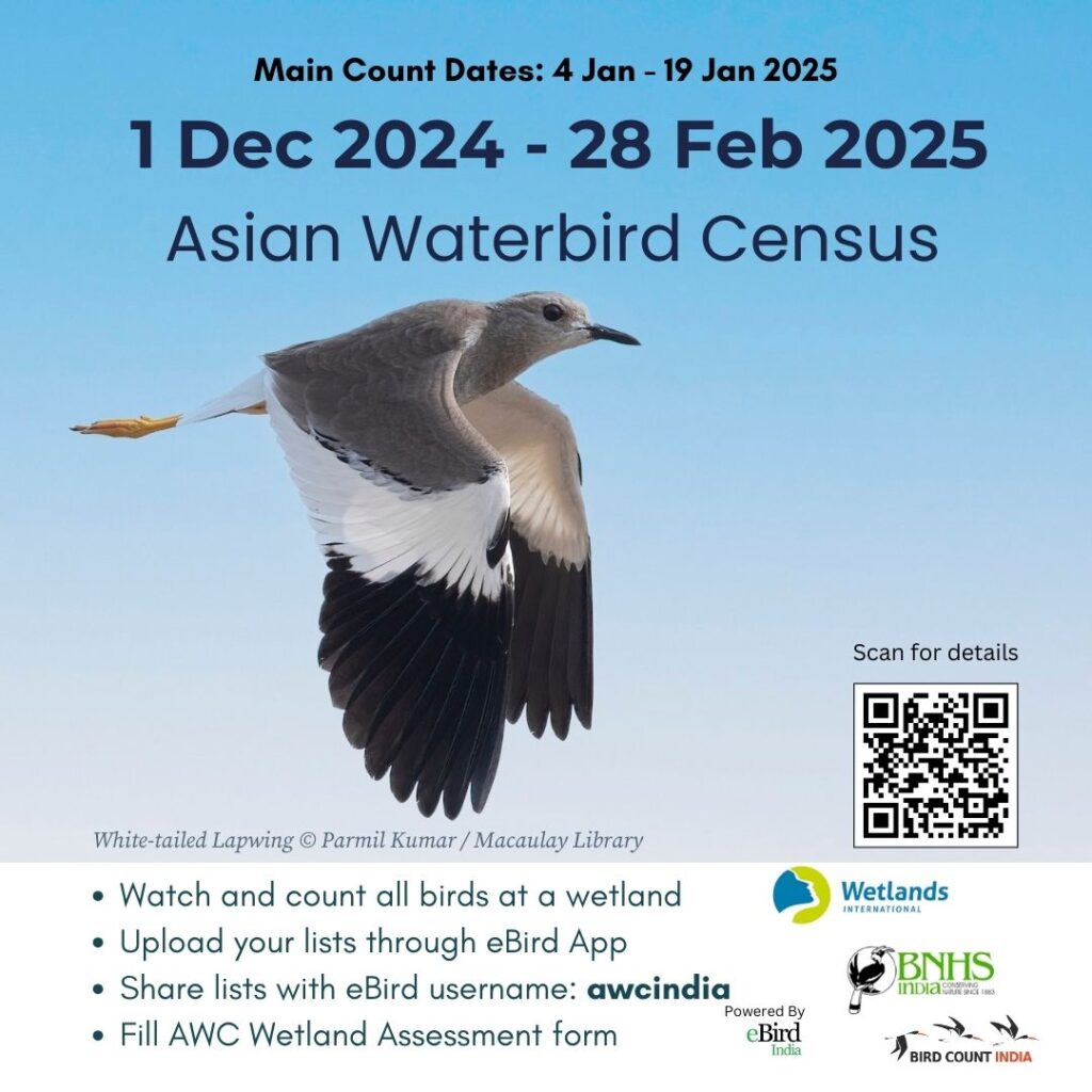 Asian Waterbird Census 2025 Poster