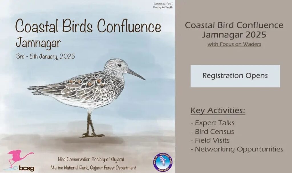 Poster on Coastal Bird Confluence 2025