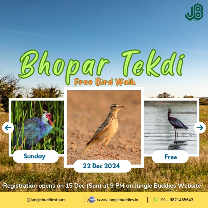 What's On in December eBird India