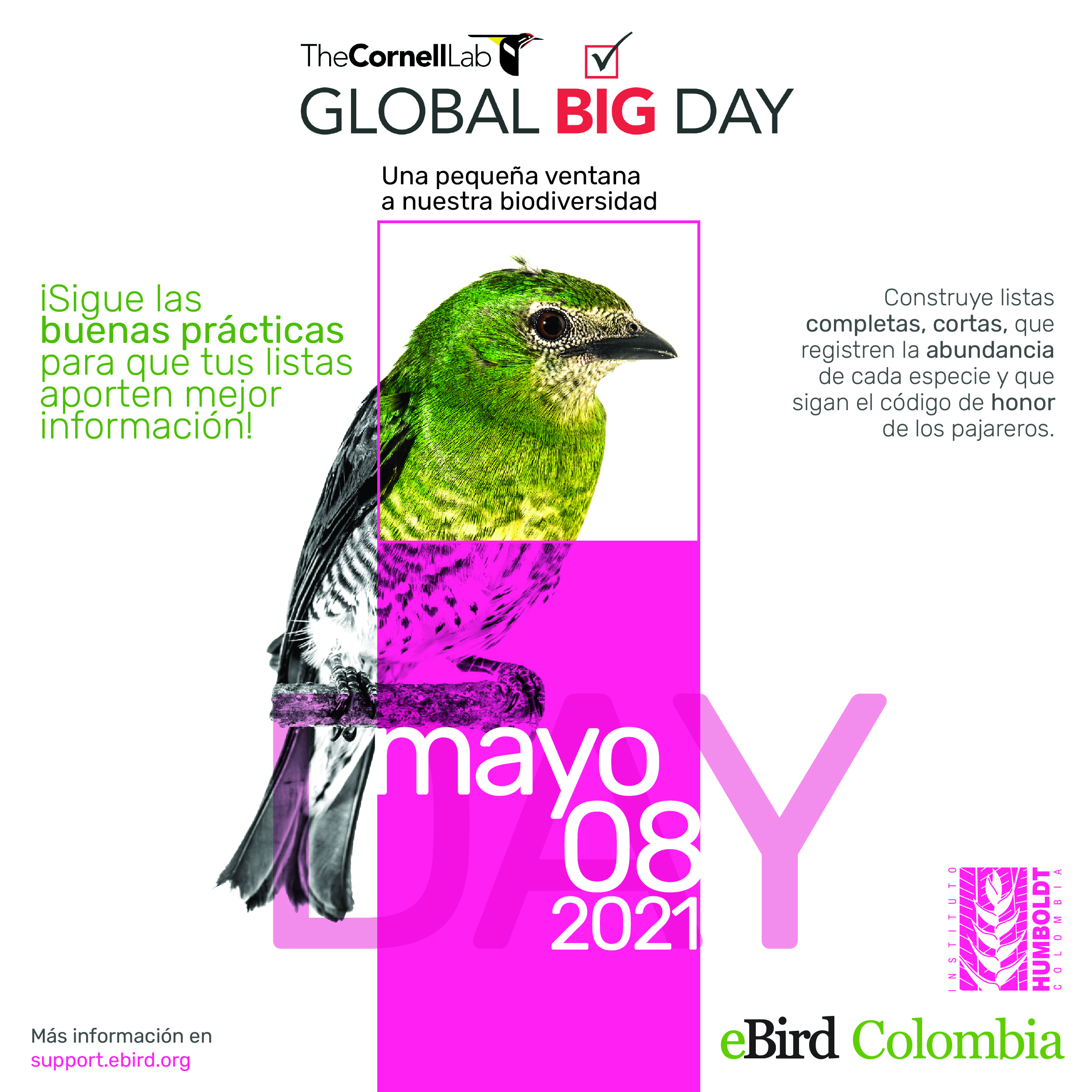 ¡Prepárate para el Global Big Day! eBird Colombia