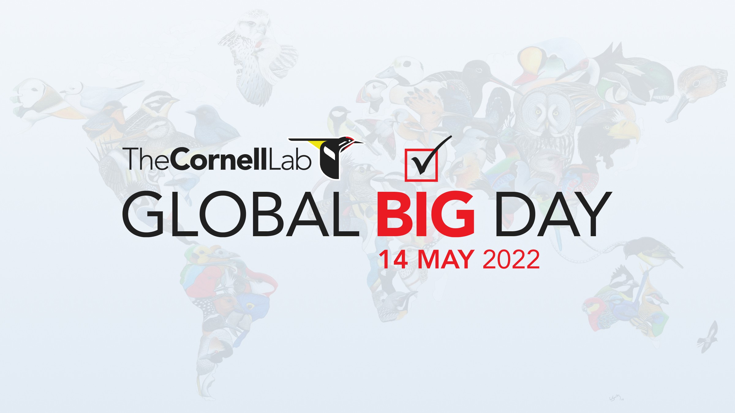 Global Big Day 14 de mayo de 2022 eBird Colombia