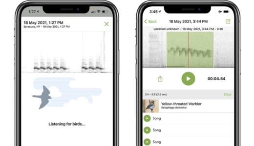 merlin-sound-id-in-aotearoa-new-zealand-bird-atlas