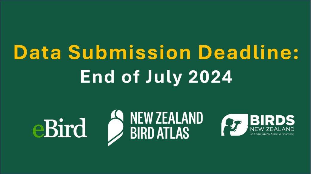 Data Submission Deadline End of July 2024 New Zealand Bird Atlas