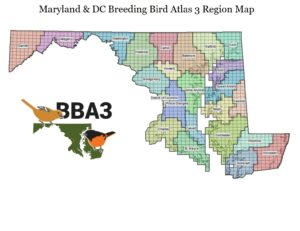 Maps - Maryland-dc Breeding Bird Atlas