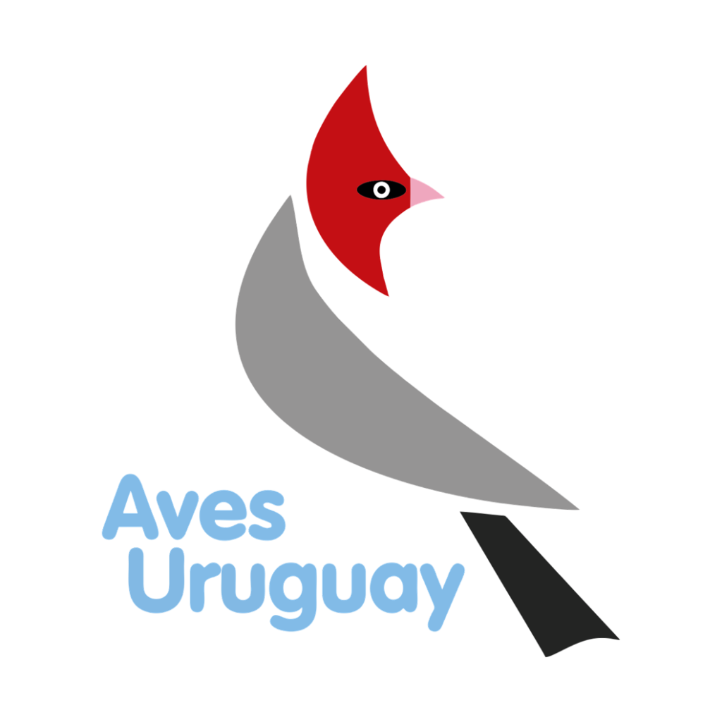 eBird Uruguay Discover a new world of birding...