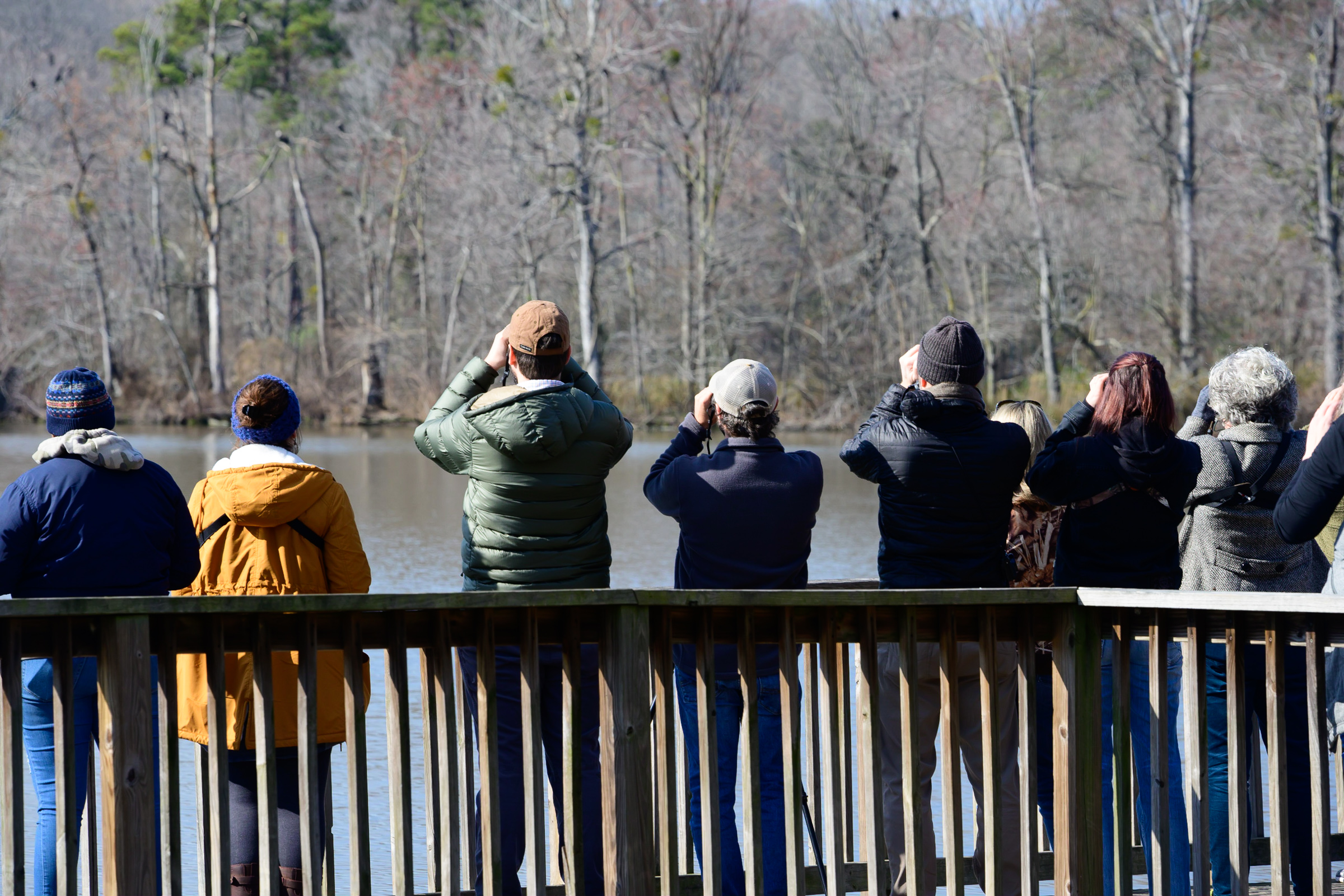 Atlas Team - North Carolina Bird Atlas