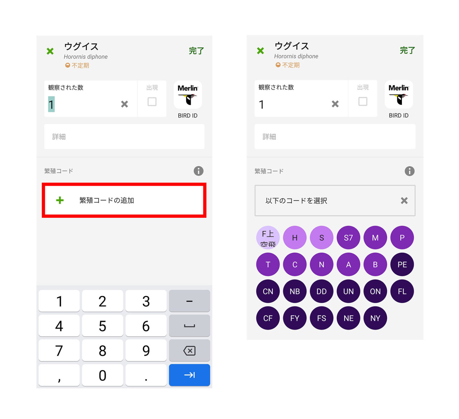 繁殖の記録を残そう eBird Japan