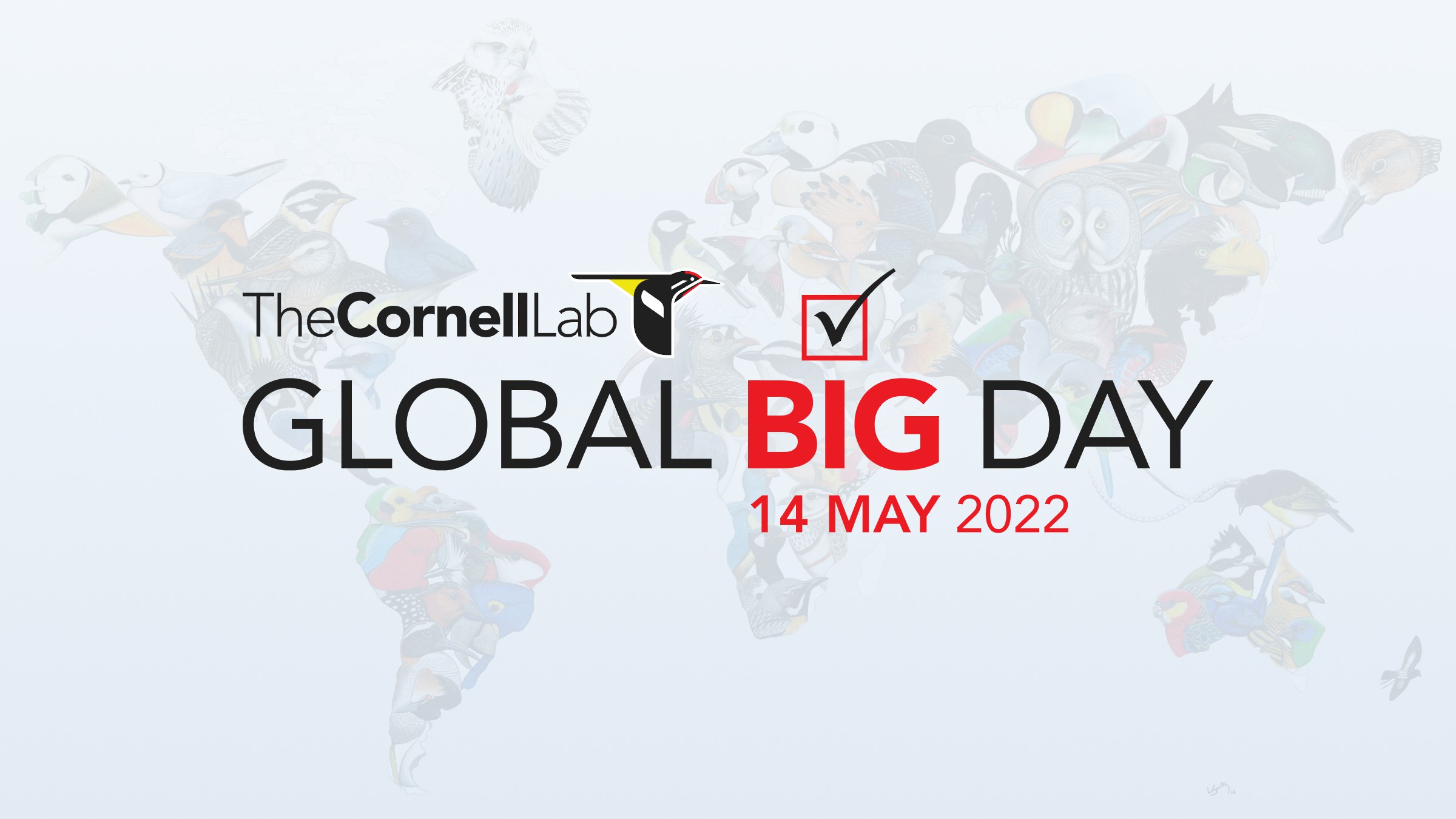 Global Big Day—14 May 2022 eBird Bolivia