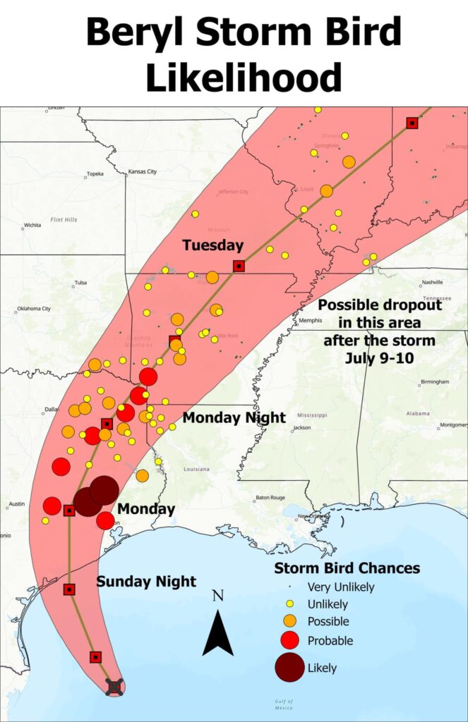 Map showing the predicted path of Hurricane Beryl and likely spots for sea bird fallout.